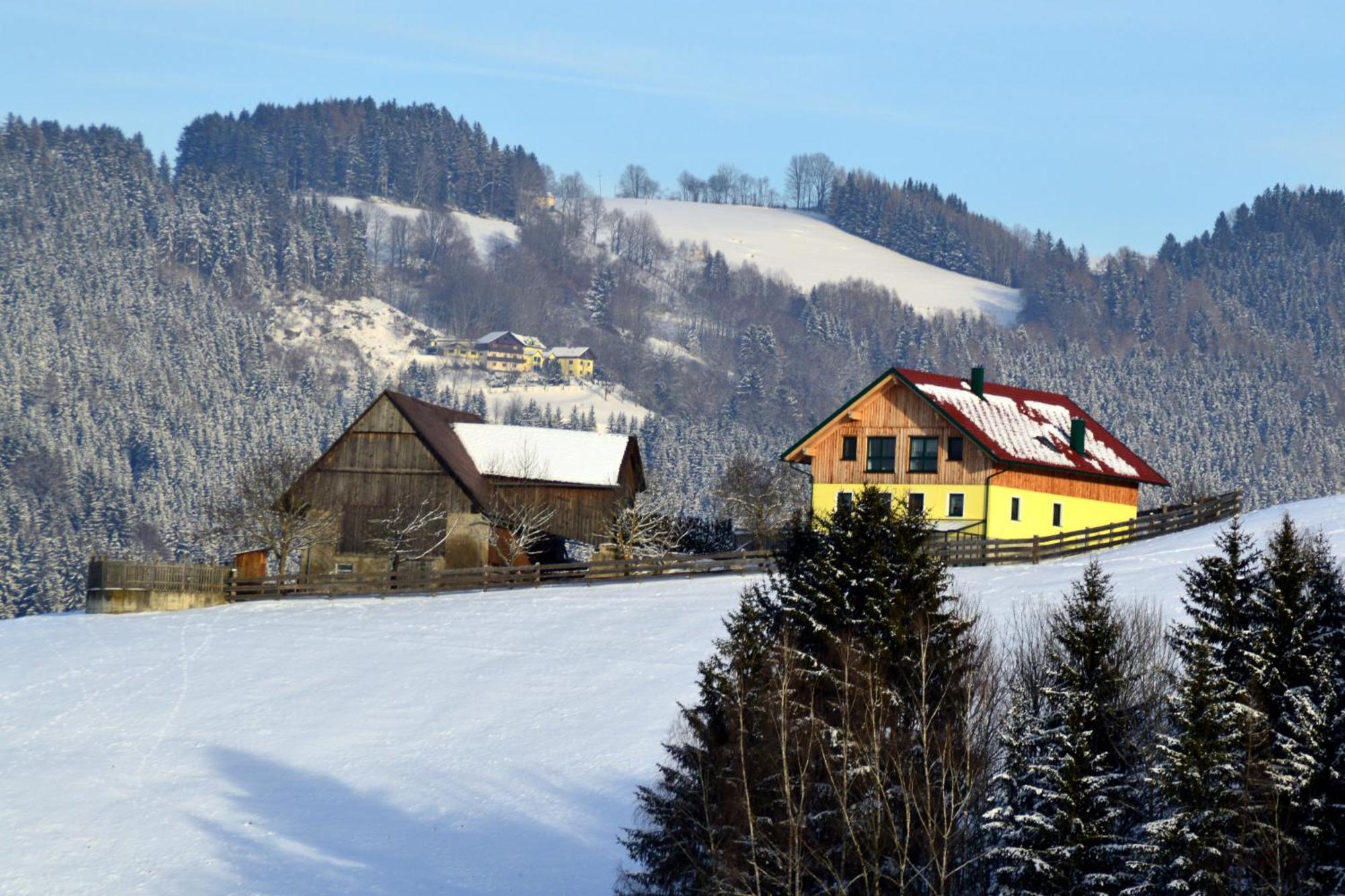 Almferienhaus Russmann Frantschach Luaran gambar
