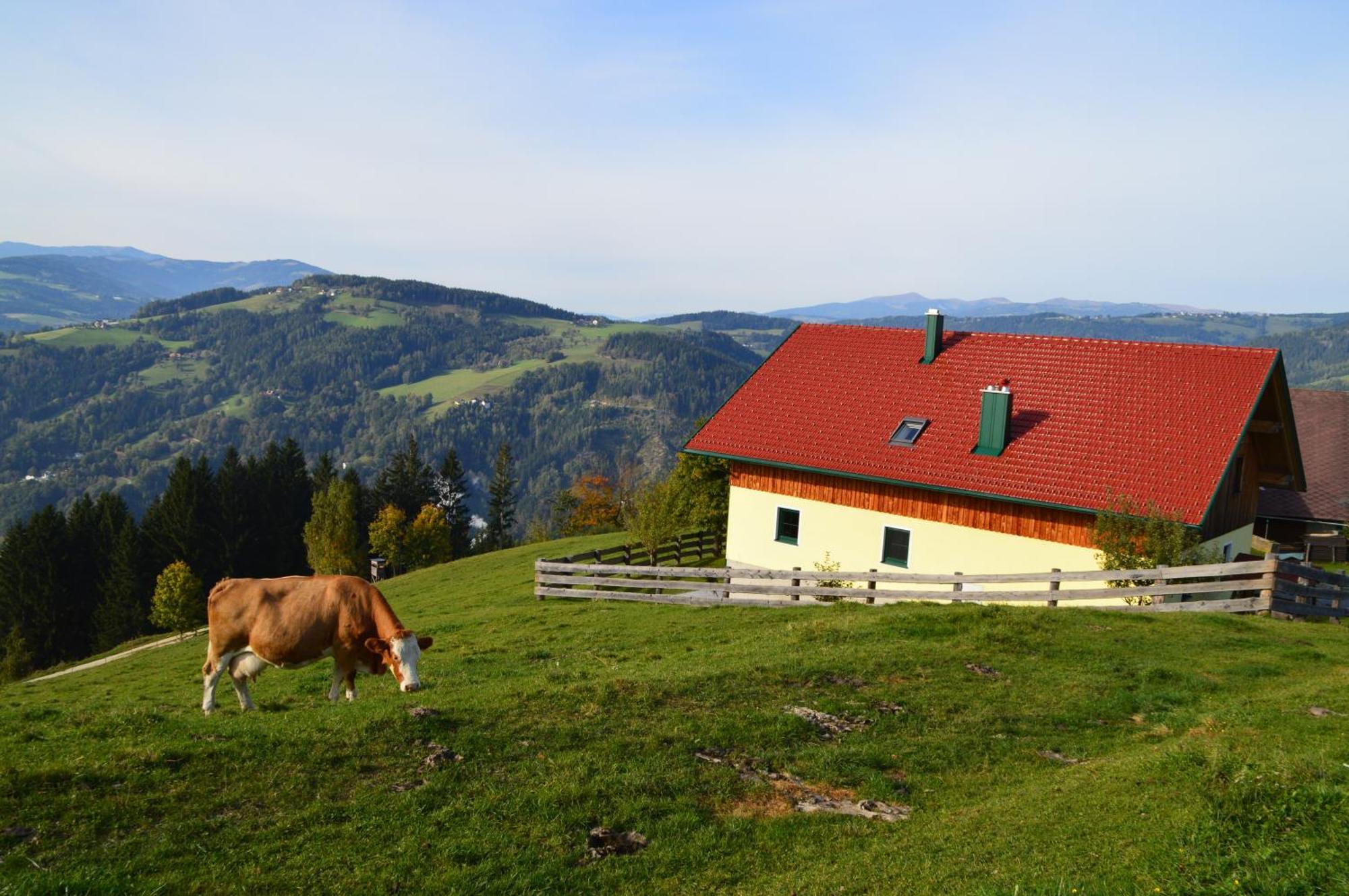 Almferienhaus Russmann Frantschach Luaran gambar
